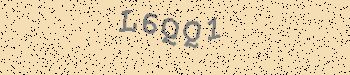 An error has occurred while getting captcha image