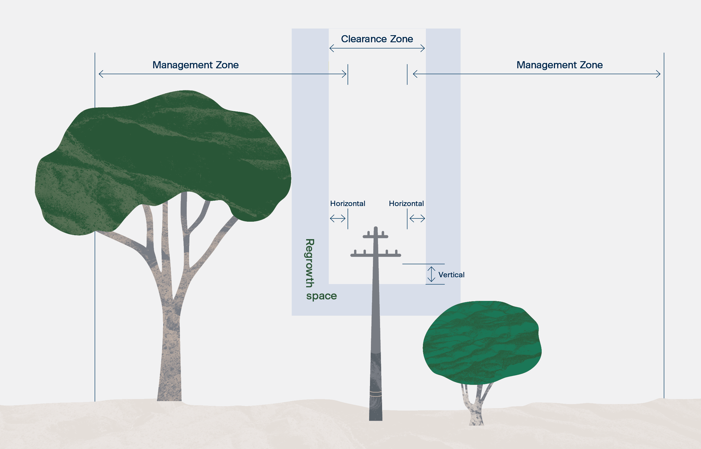Tree clearance zone illustration 2.png