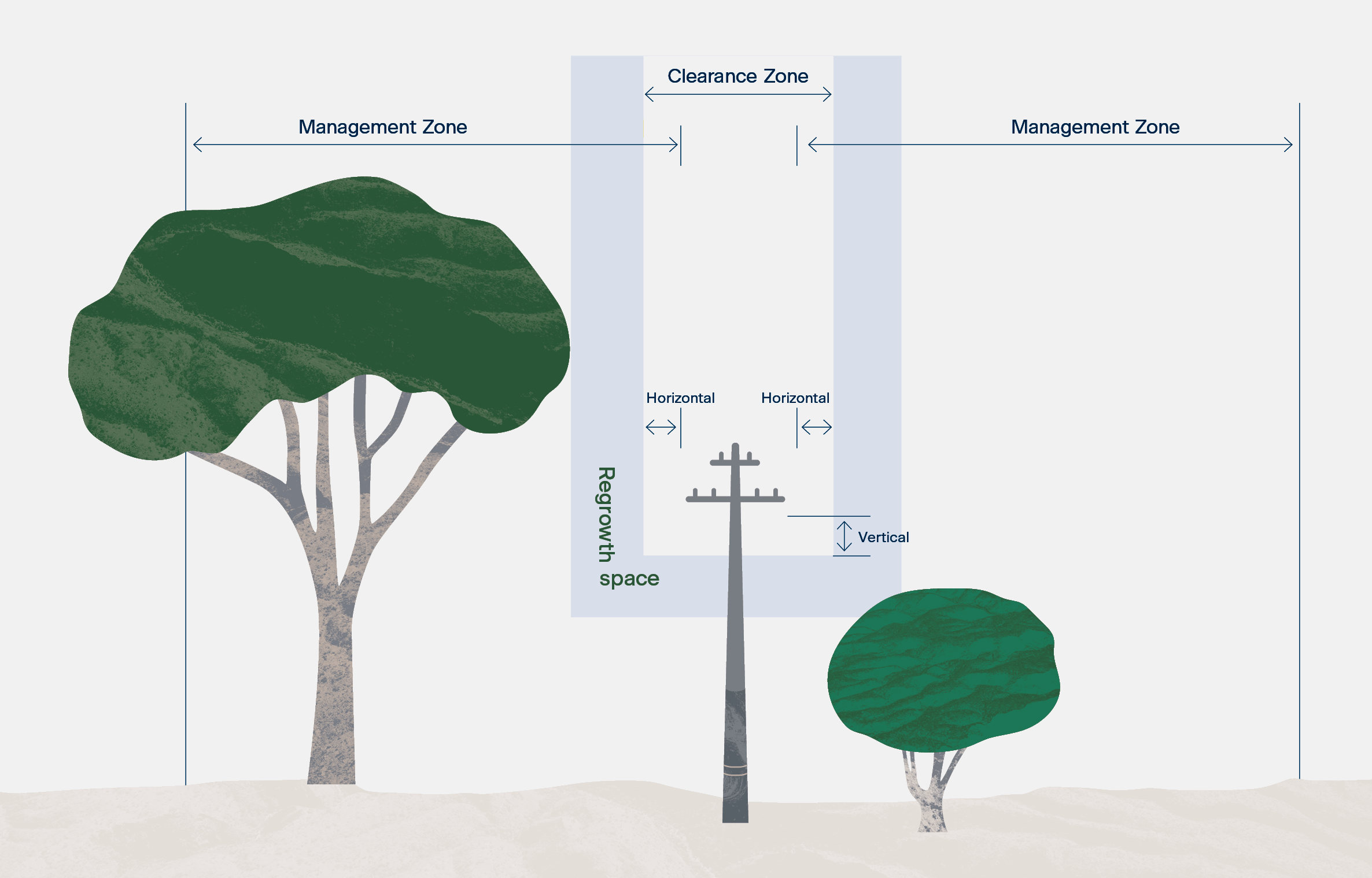 Tree Trimming Safety Rules To Keep Yourself Safe | Horizon Power